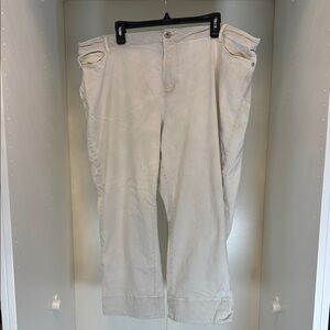 J. Jill Light Khaki Chinos